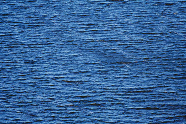 Similar image 22165954