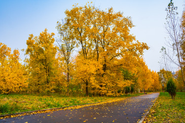 Similar image 22165955