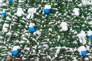 Similar image 22165957