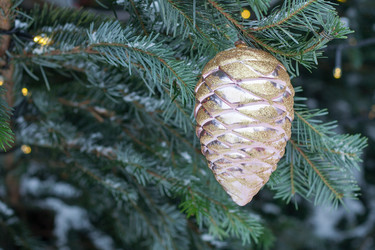 Similar image 22165962