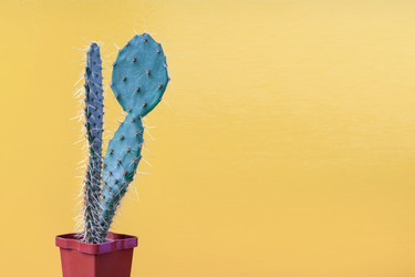 Similar image 22165969