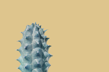 Similar image 22165530