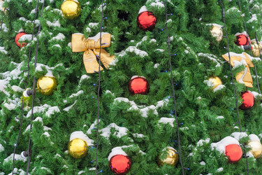 Similar image 22165534