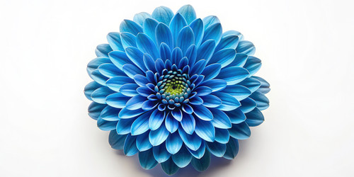 Similar image 22166555