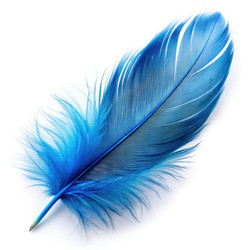 Similar image 22166557