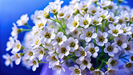 Similar image 22167019