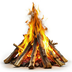 Similar image 22167020