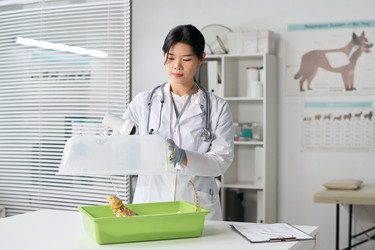 Similar image 22144935