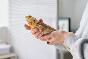 Similar image 22145008