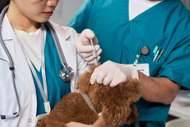 Similar image 22144986