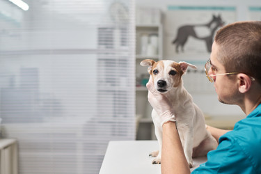 Similar image 22144992