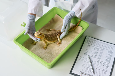 Similar image 22144943