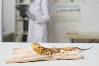 Similar image 22145017