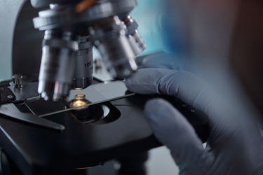 Similar image 22145053