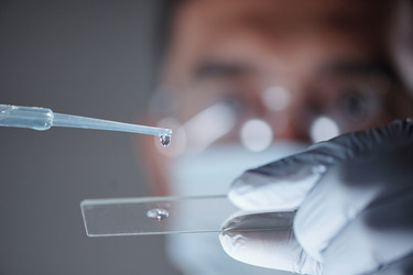 Similar image 22145076