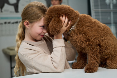 Similar image 22144979