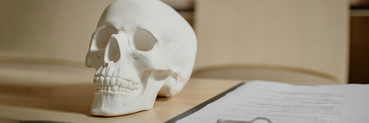 Similar image 22143099