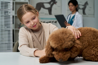 Similar image 22144980