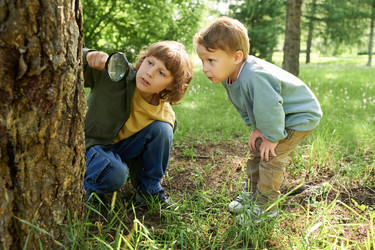 Similar image 22146985