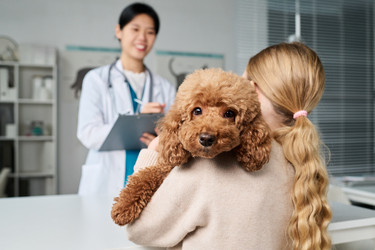 Similar image 22144934