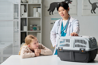 Similar image 22144947