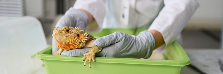 Similar image 22144997