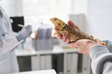 Similar image 22145010