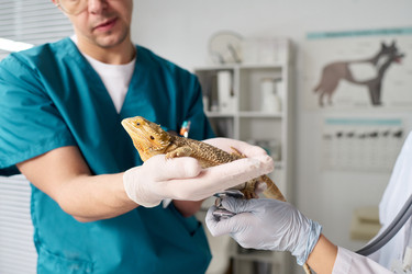 Similar image 22144976