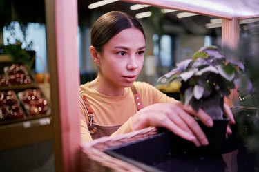 Similar image 22143491