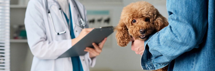 Similar image 22145023