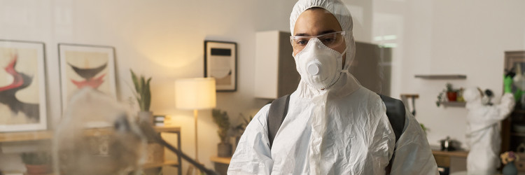 Similar image 22144624