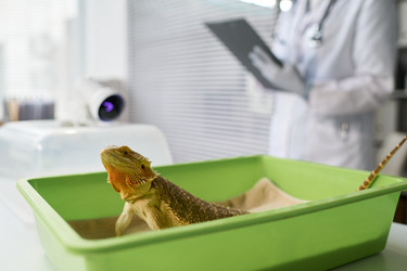 Similar image 22144950