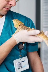 Similar image 22144990