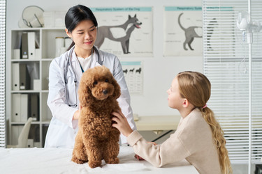 Similar image 22144925