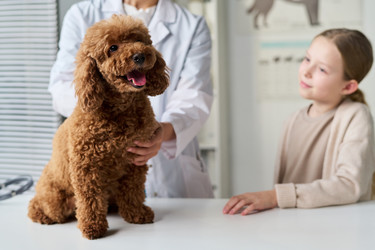 Similar image 22145037