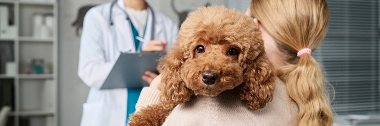 Similar image 22145021