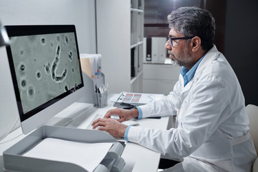 Similar image 22145091