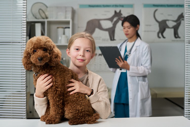 Similar image 22144968