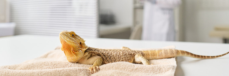 Similar image 22145020