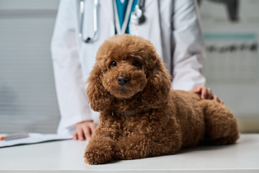 Similar image 22144959