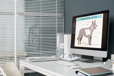 Similar image 22144927