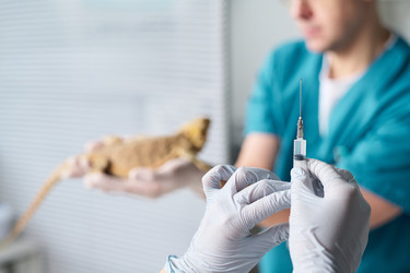 Similar image 22144991