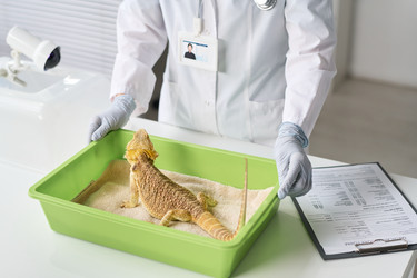 Similar image 22144933