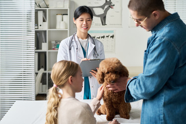 Similar image 22144932