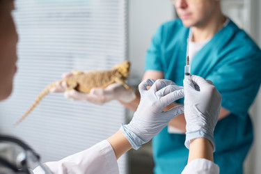 Similar image 22144996