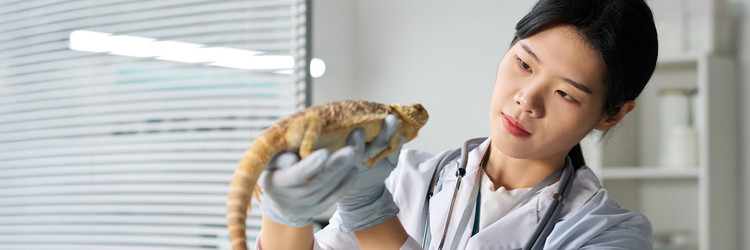 Similar image 22145005