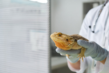 Similar image 22144965