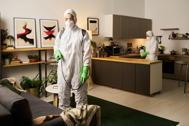 Similar image 22144582