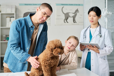 Similar image 22145040