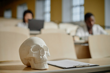 Similar image 22143006